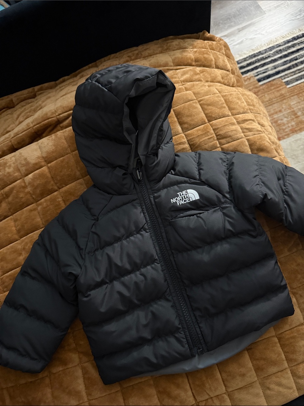 The North Face Black Hooded Puffer Jacket